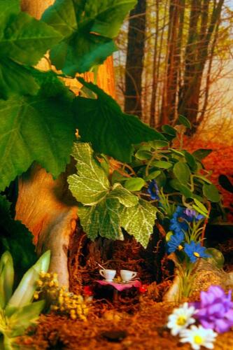 fairy tea party