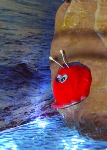 puffball cave