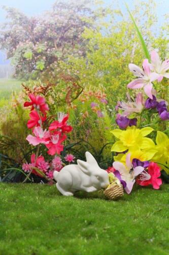 rabbit in flower garden